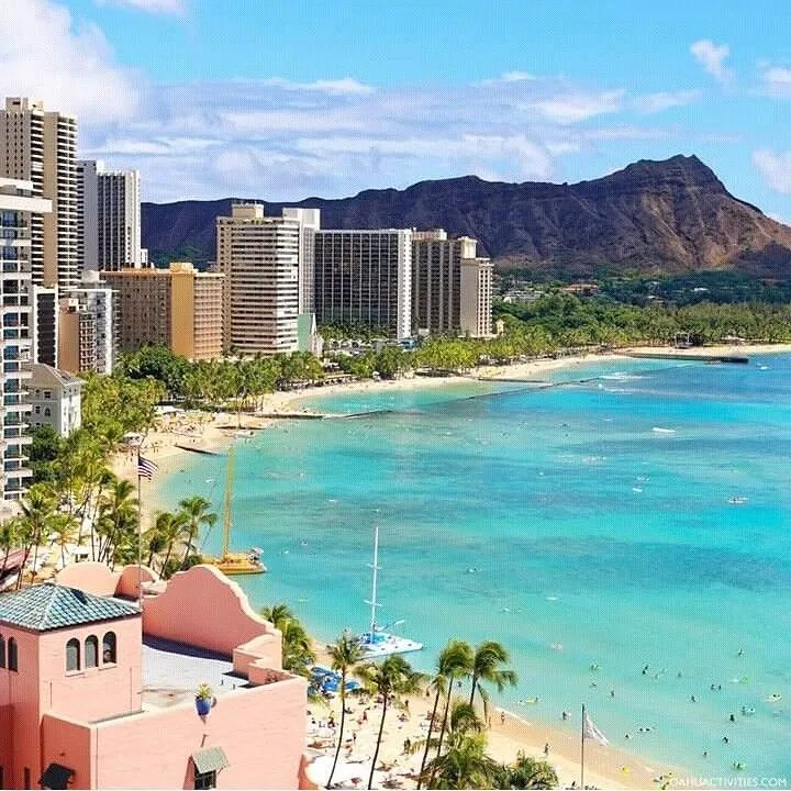 Aloha🤙