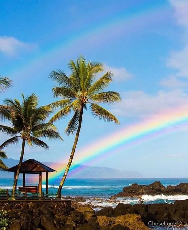 Aloha🤙