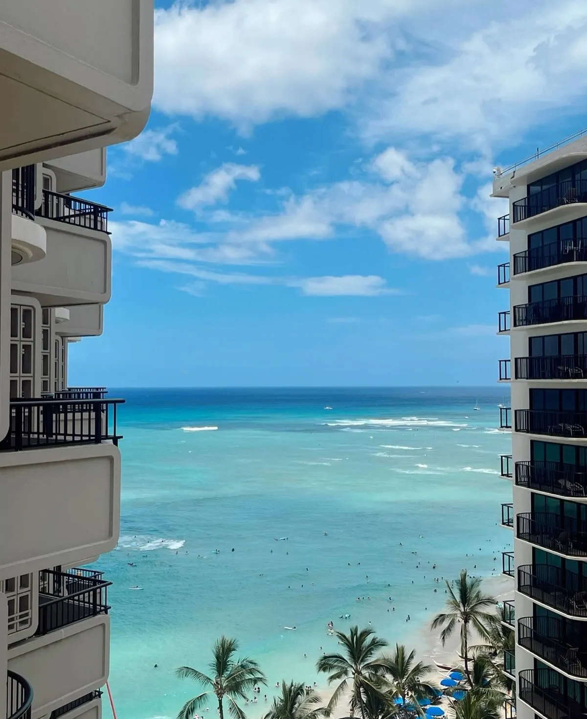 Aloha🤙