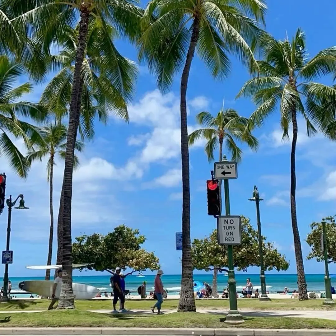 Aloha🤙
