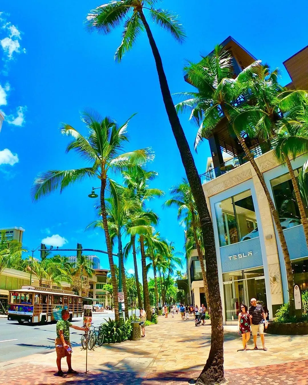 Aloha🤙 