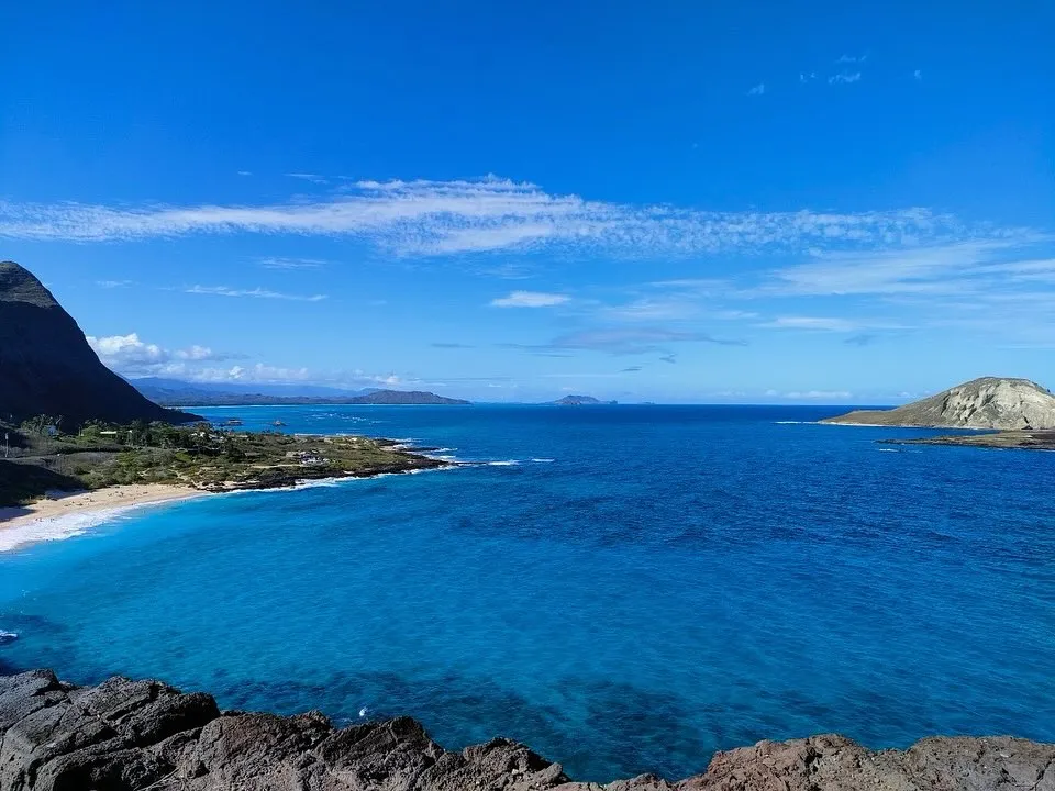 Aloha🤙