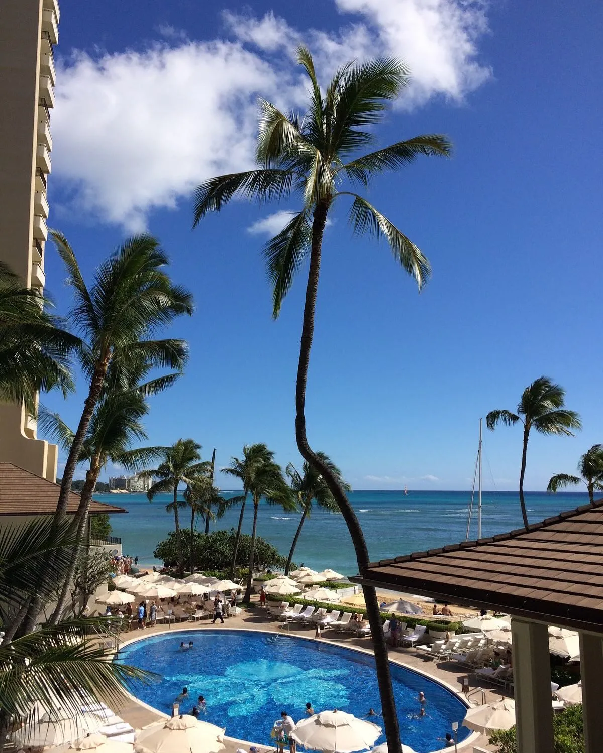 Aloha🤙