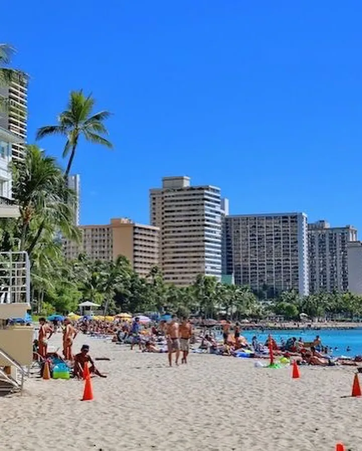 Aloha🤙