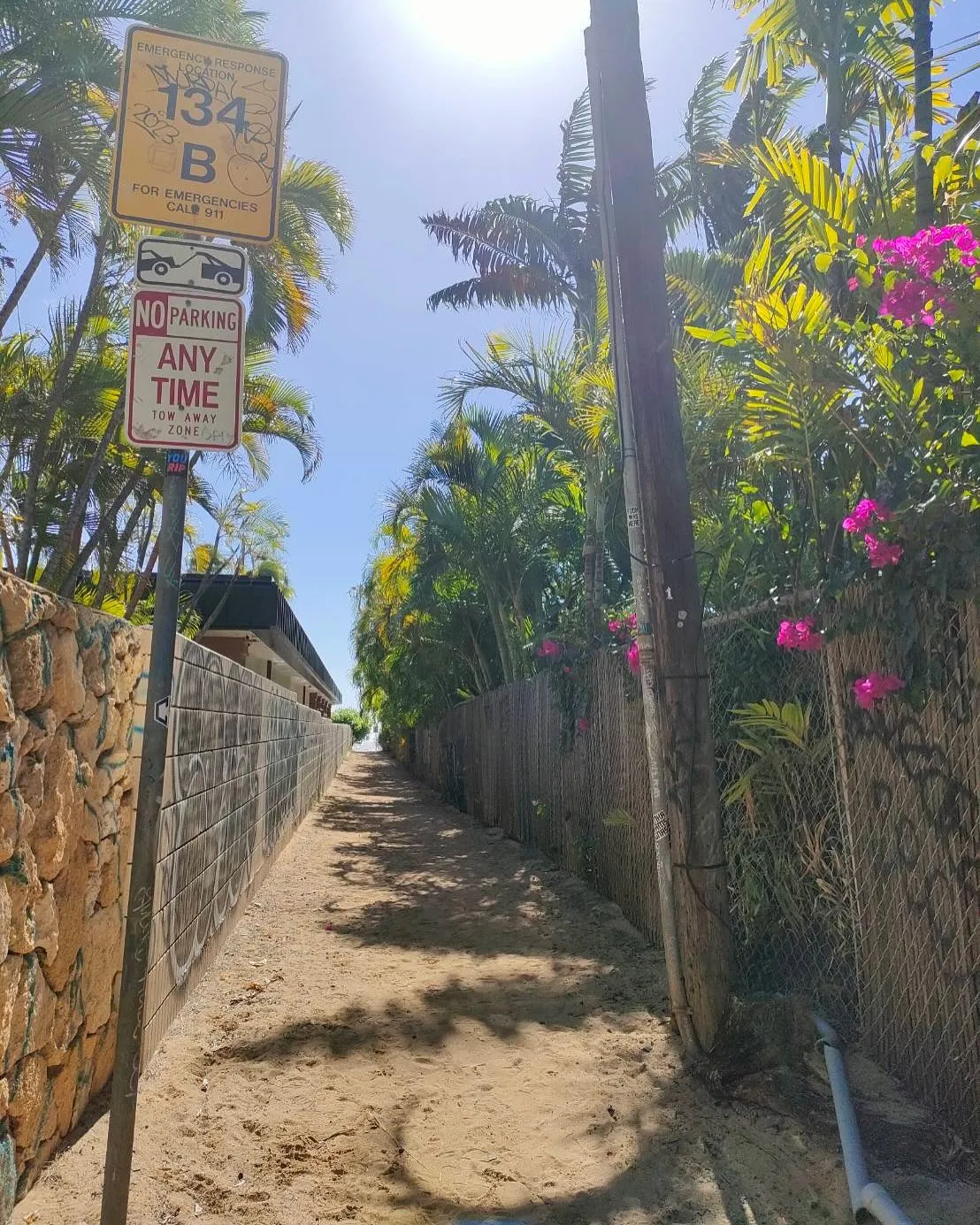 Aloha🌺