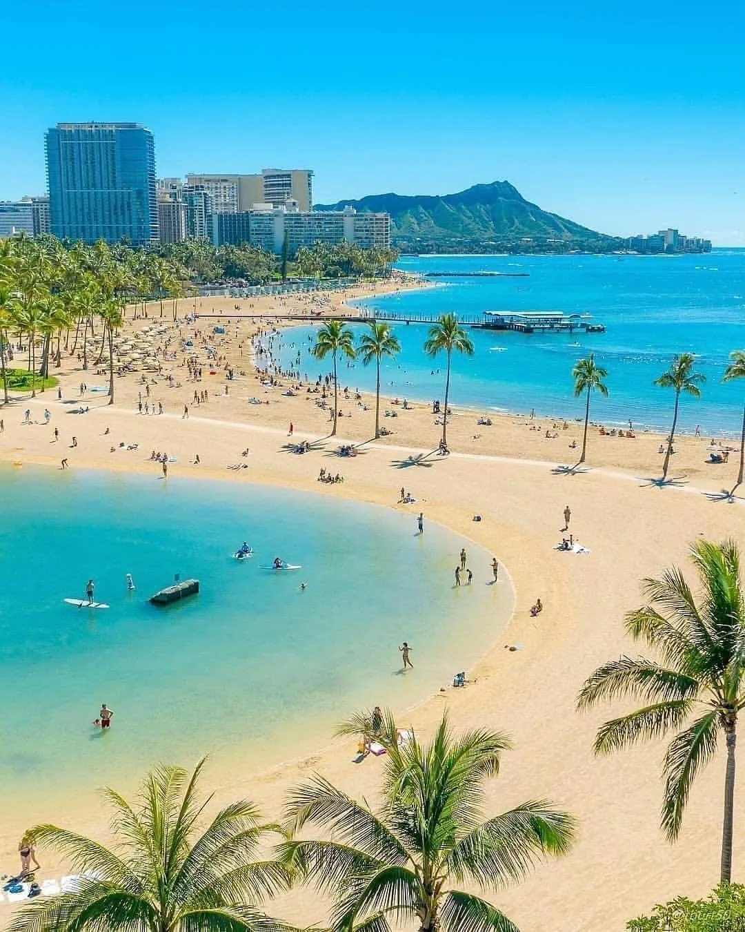 Aloha🤙