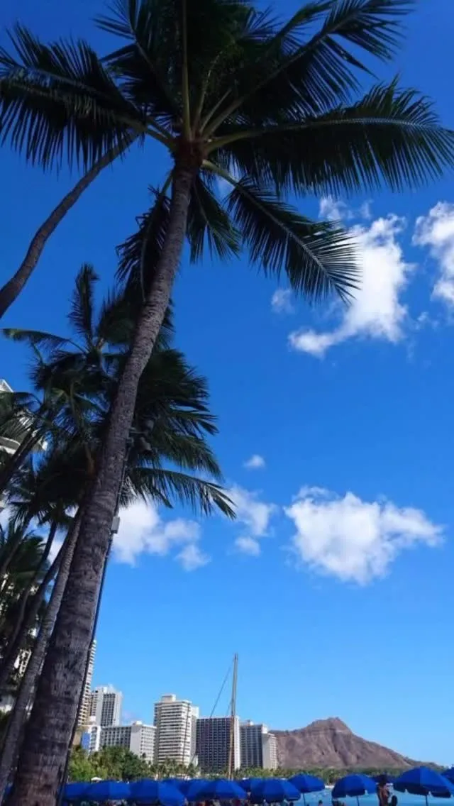 私は本場Hawaiiに留学し、現地でHawaiianロミロミ...