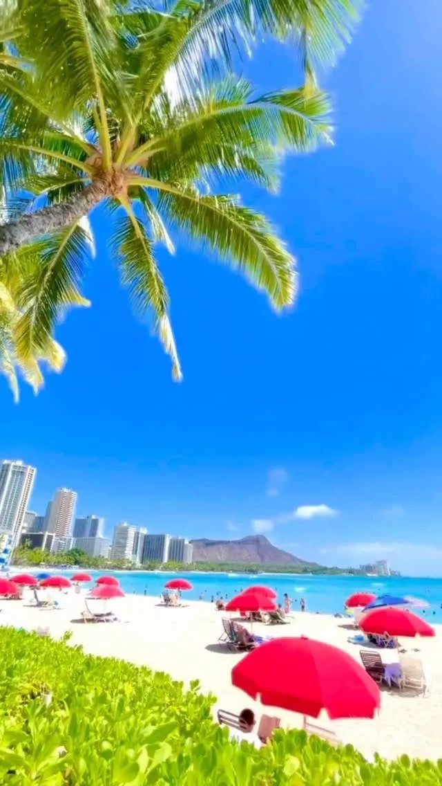 🌺Hawaiianロミロミ＆スウェディッシュ専門店🌺