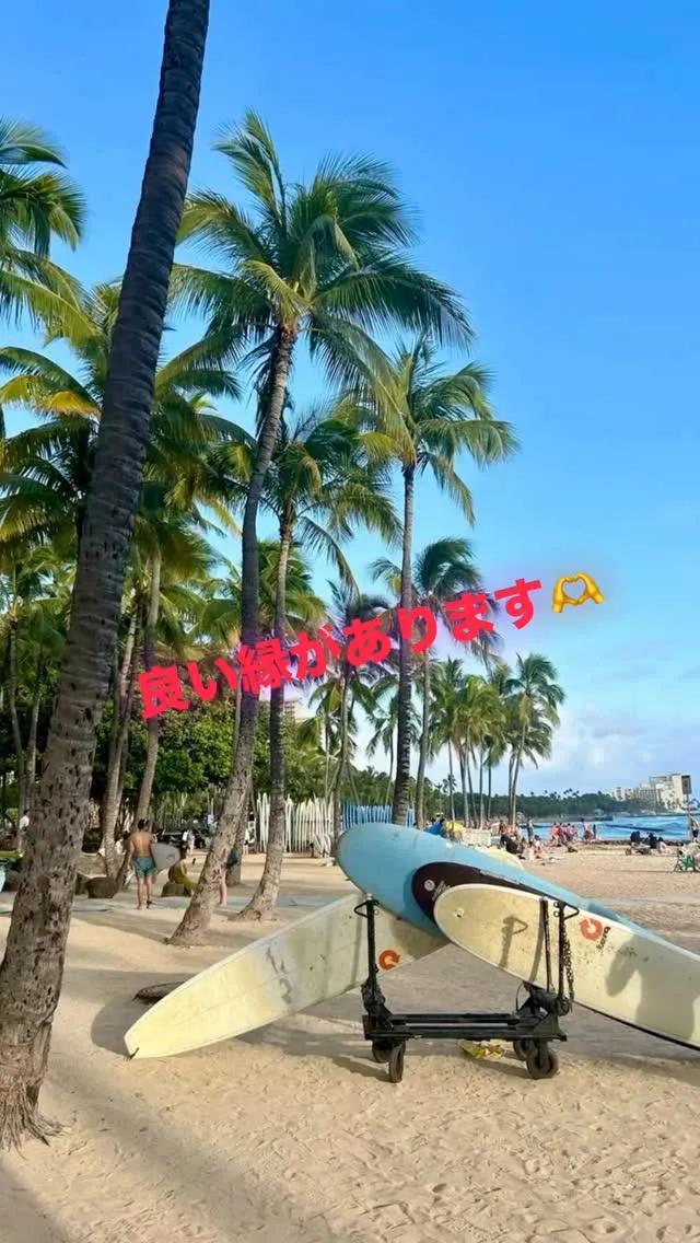 控えめに言って最高、と言われた