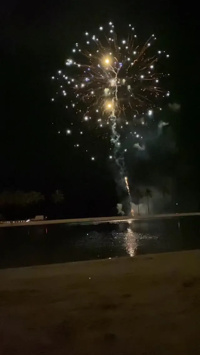 新年明けましておめでとうございます。